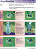 Through Hole Solder Joint Evaluation Wall Poster - Class 2 - Revision G