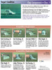 Surface Mount Solder Joint Evaluation Wall Posters (Set of 3) - Class 2 - Revision G