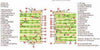 PCB Multi-Issue Microsection Wall Poster